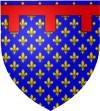 D'azur sem� de fleurs de lys d'or au lambel de gueules