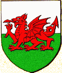 Coup� d'argent et de sinople, dragon rouge brochant sur le tout.